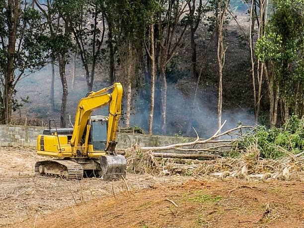 Site Development
